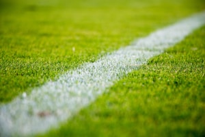 尤文2-0那不勒斯 意甲 比分数据